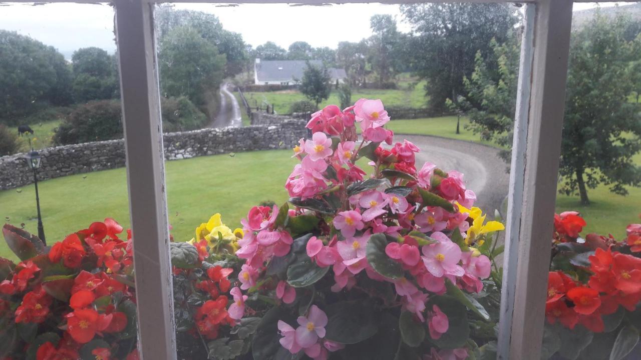 Bealkelly Country House Killaloe Eksteriør billede