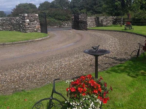 Bealkelly Country House Killaloe Eksteriør billede